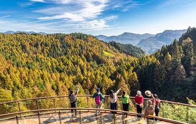 初冬時(shí)節景如畫(huà)