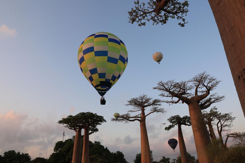 馬達加斯加：猴面包樹(shù)與熱氣球