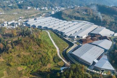 貴州道真：發(fā)展食用菌產(chǎn)業(yè)帶動(dòng)村民持續穩定增收