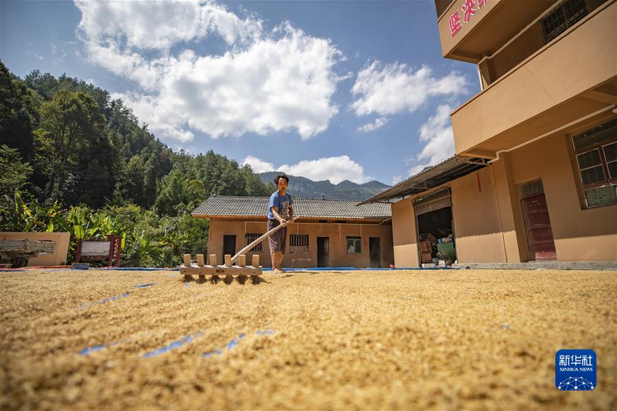 (新華全媒頭條·圖文互動(dòng))(6)從百年黨史汲取不懈奮斗的力量——與會(huì )同志談黨的十九屆六中全會(huì )精神