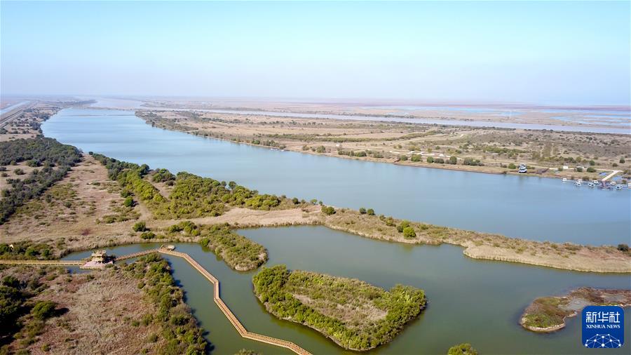 （新華全媒頭條·圖文互動(dòng)）（4）鯤鵬展翅九萬(wàn)里——以習近平同志為核心的黨中央引領(lǐng)中華民族邁向偉大復興述評