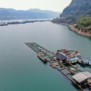 （新華全媒頭條·圖文互動(dòng)）（1）生態(tài)美、產(chǎn)業(yè)興、文化昌——長(cháng)江經(jīng)濟帶生態(tài)優(yōu)先、綠色發(fā)展見(jiàn)聞