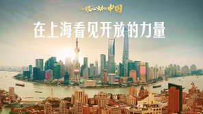 一眼心動(dòng)的中國丨在上?？匆?jiàn)開(kāi)放的力量