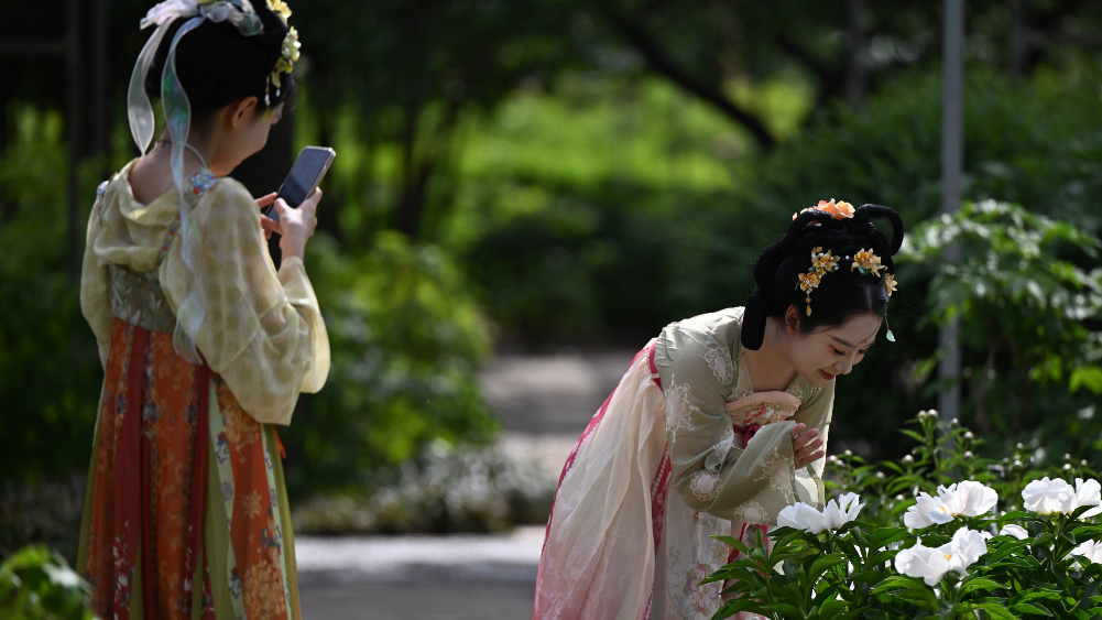 古都洛陽(yáng)引八方游客