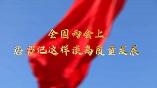 兩會(huì )上，總書(shū)記這樣談高質(zhì)量發(fā)展