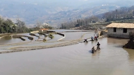 人勤春來(lái)早——當前全國各地經(jīng)濟社會(huì )發(fā)展掃描