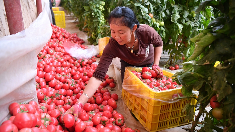 春天里，我們一起譜寫(xiě)振興新歌