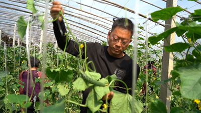 點(diǎn)亮自強自立“心燈”！聽(tīng)聽(tīng)這些殘疾人的創(chuàng  )業(yè)就業(yè)故事