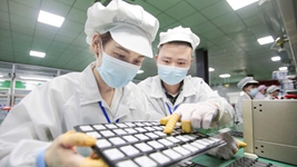 復工復產(chǎn)進(jìn)行時(shí)丨點(diǎn)滴創(chuàng  )新、集群發(fā)展……這些企業(yè)堅定擴產(chǎn)