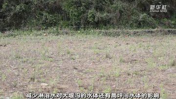 曾經(jīng)被“遺棄”的它們 搬到新家啦！