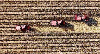 非凡十年｜吉林：加快推動(dòng)全面振興、全方位振興