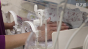 廣西母乳庫:運營(yíng)7年 救助1600多名早產(chǎn)兒及患兒