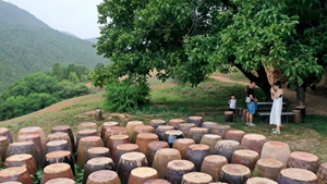 將藝術(shù)注入鄉野——一位陶瓷藝術(shù)家的鄉村振興實(shí)踐