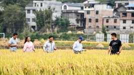 新農人給鄉村振興帶來(lái)哪些新面貌？