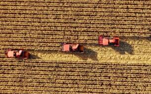 今秋，金秋！