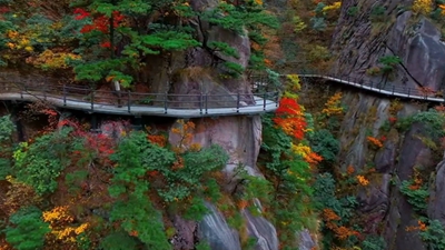 安徽九華山：霜染丹林，感受自然之美