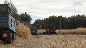 黑龍江黑河:秋收全面完成 秋整地作業(yè)正酣