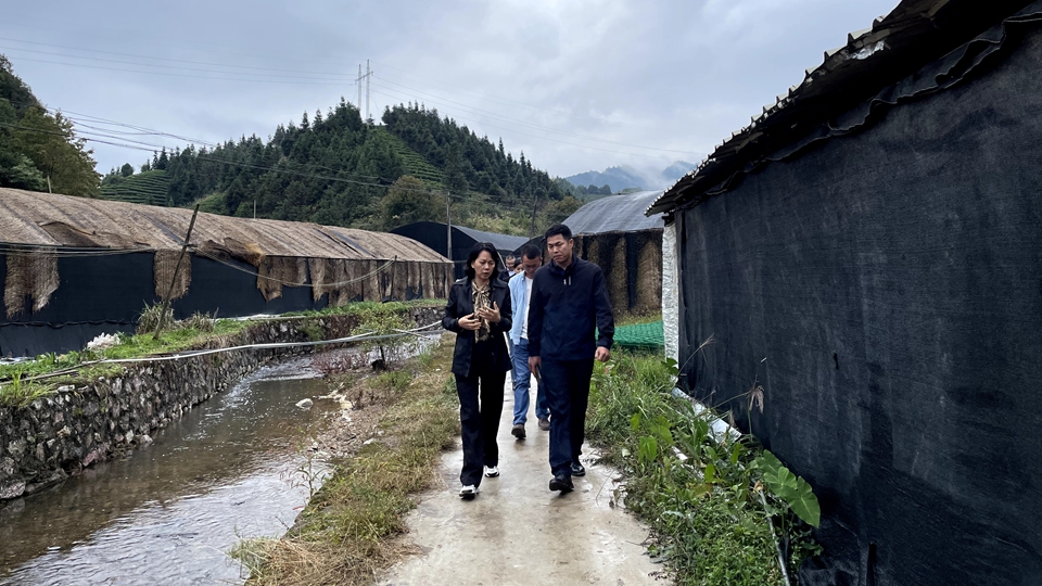 楊遠艷：到群眾中去、講群眾的話(huà)、想群眾的事