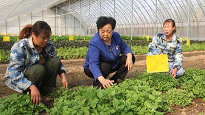 王銀香：農民的事，就是我的事