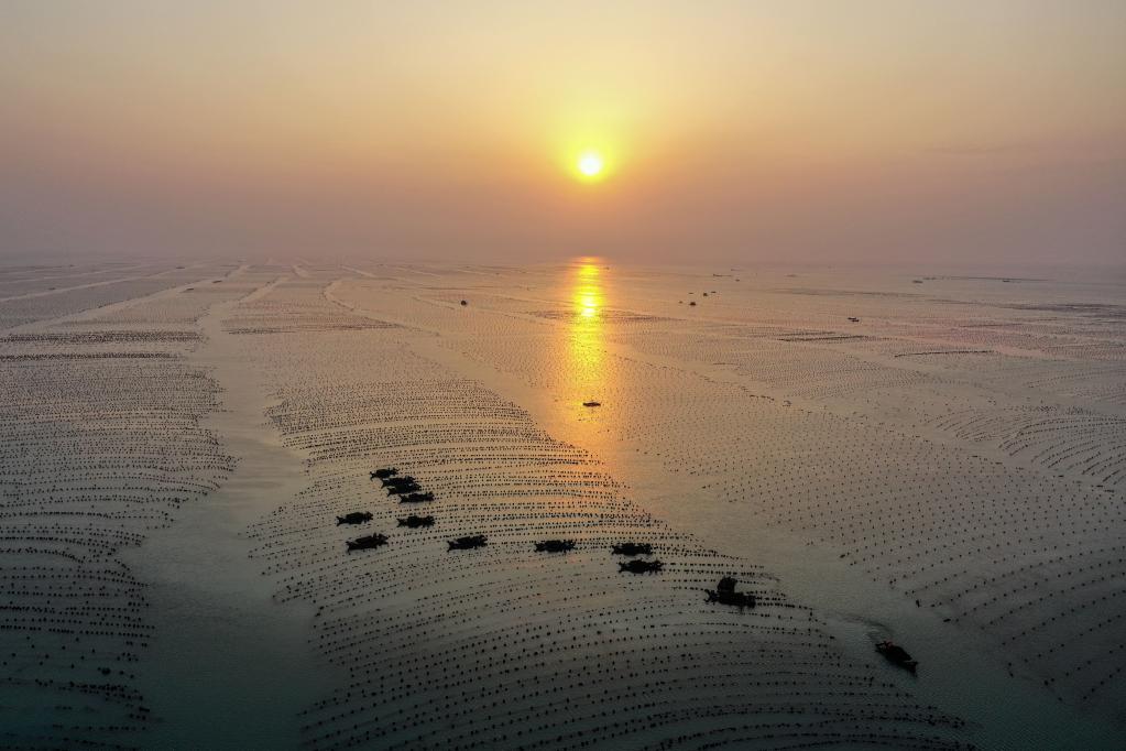 山東榮成：早春時(shí)節 “耕海牧漁”