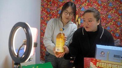 王穎：做 “有情懷，會(huì )妙招，富鄉親”新時(shí)代返鄉新農人