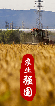 農業(yè)強國是社會(huì )主義現代化強國的根基。