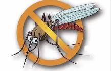 夏季，常見(jiàn)蚊蟲(chóng)如何應對