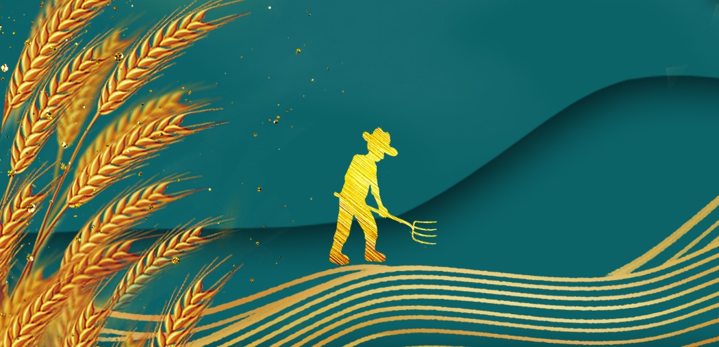 農耕智慧的產(chǎn)物——梯田