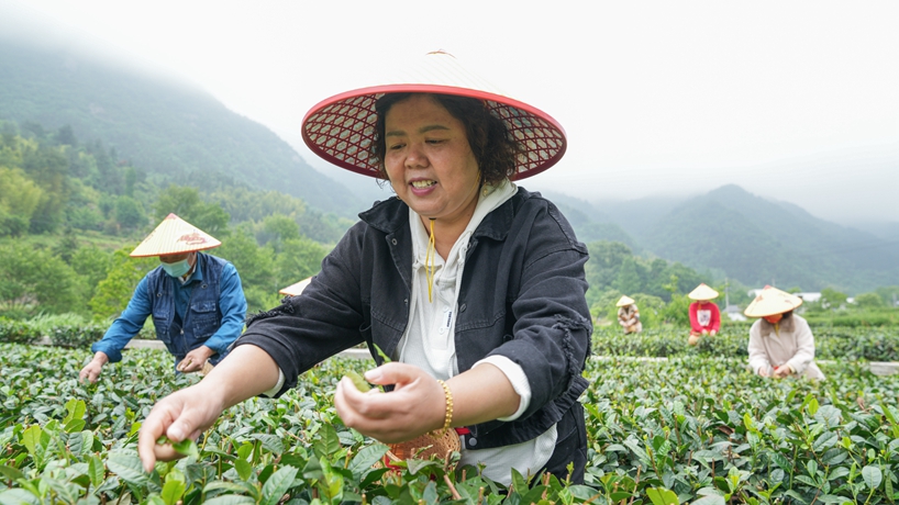 守&ldquo;綠&rdquo;換&ldquo;金&rdquo;！大別山區&ldquo;兩山&rdquo;實(shí)踐創(chuàng  )新基地觀(guān)察