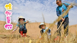 “雙減”后的第一個(gè)暑假，小朋友們是怎么度過(guò)的？