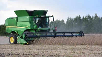 畝產(chǎn)564.81斤！記者親歷大豆高產(chǎn)誕生