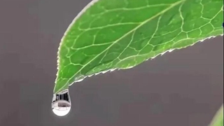 在中國古詩(shī)詞里，尋找北京冬奧的“節氣密碼”