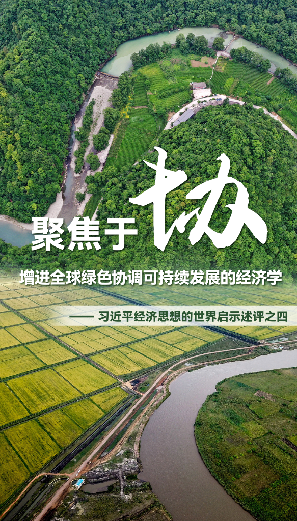 聚焦于“協(xié)”，增進(jìn)全球綠色協(xié)調可持續發(fā)展的經(jīng)濟學(xué)