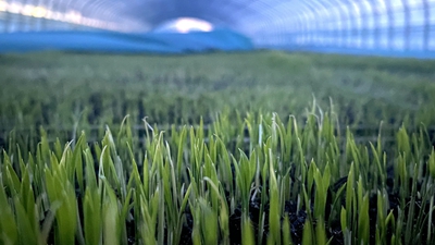 端牢“中國飯碗”，“北大倉”想這么干