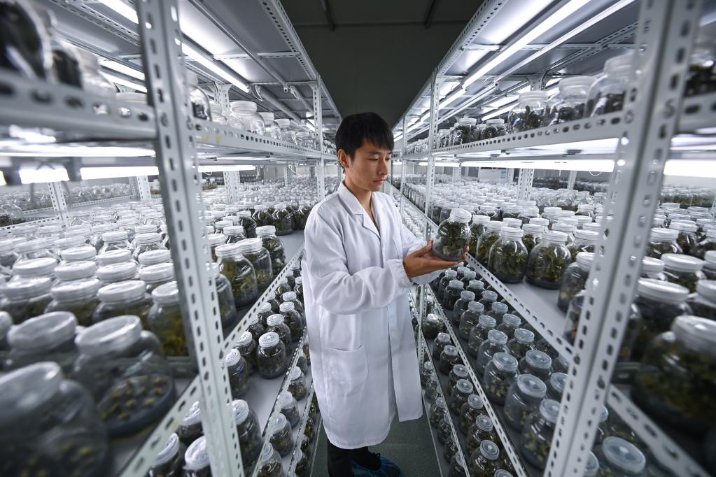 浙江臨安：“農創(chuàng  )客”助力農業(yè)現代化