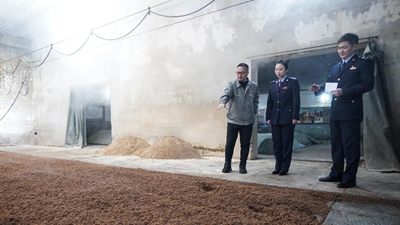 攜手促振興 助力企業(yè)爭創(chuàng  )首季“開(kāi)門(mén)紅”