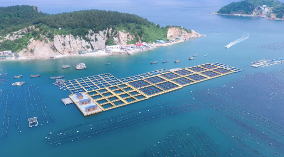 “向海圖強”：遼寧大連著(zhù)力做好海洋經(jīng)濟文章