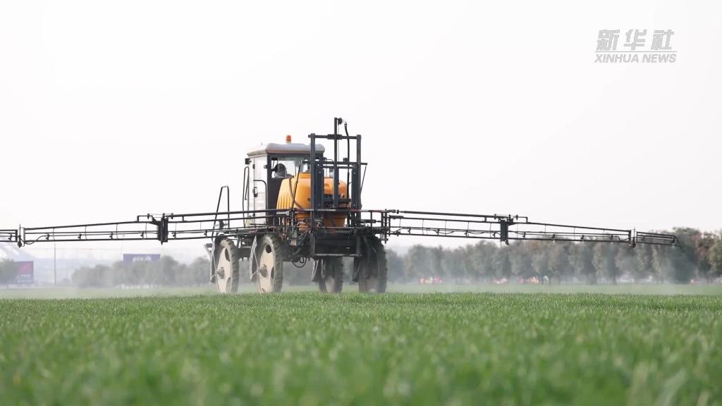 安徽阜陽(yáng)：讓“糧田”變良田