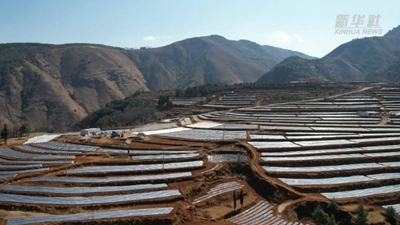 一個(gè)西南小鎮的“高速”轉身