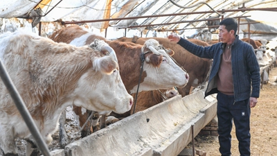 吉林：金融活水流向田間地頭、工廠(chǎng)車(chē)間