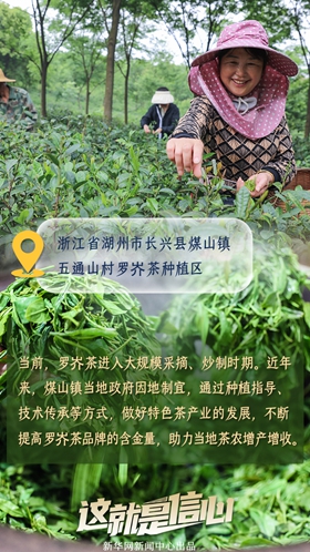 這就是信心丨應季收獲忙！看田間地頭上的增收新路子