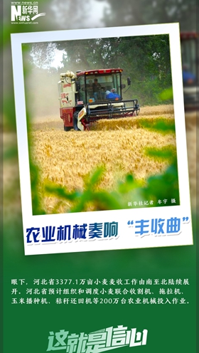 這就是信心｜好一派豐收景象！