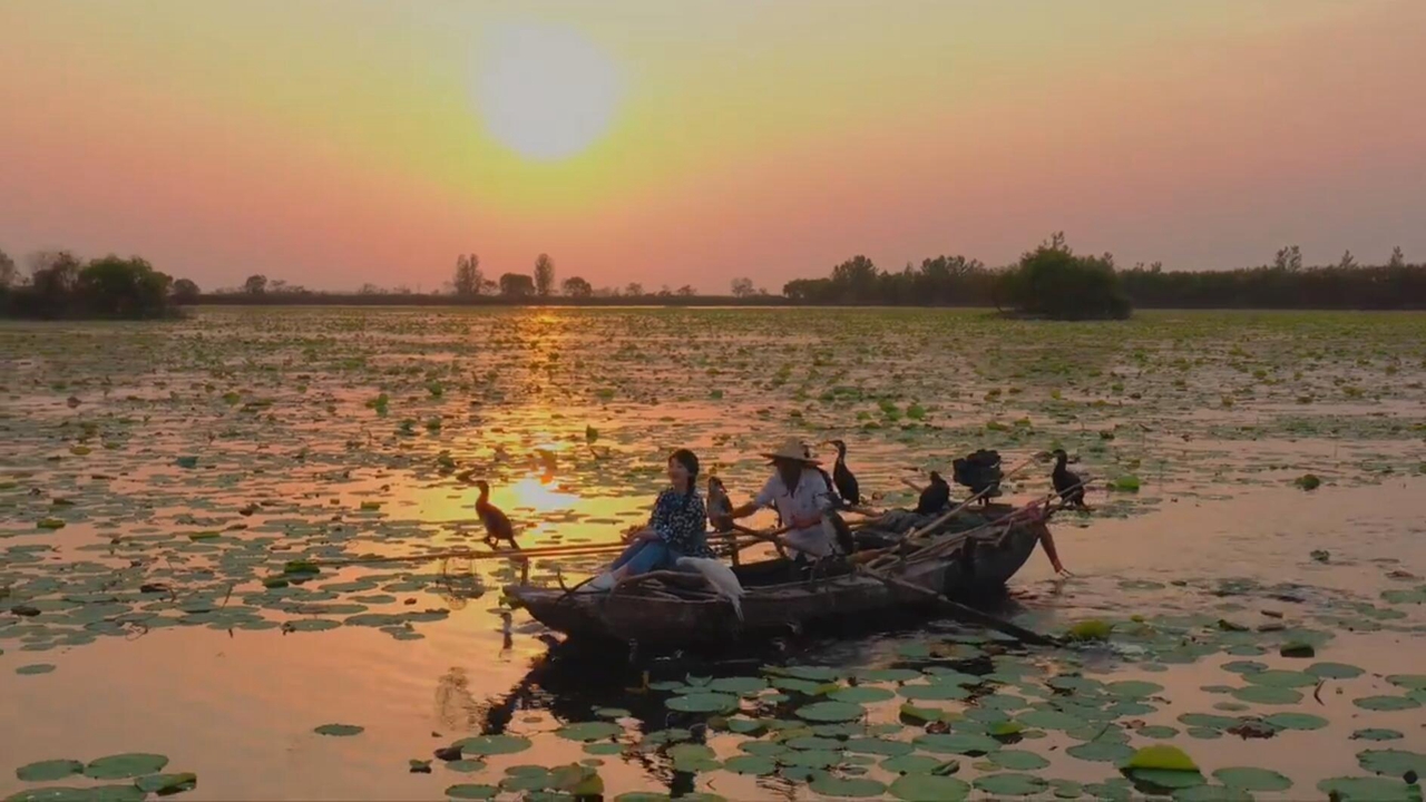 八月相約文化濟寧 遇見(jiàn)微山島