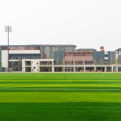 瓣瓣同心向陽(yáng)開(kāi) 公共服務(wù)攜手辦——京津支持雄安新區建設觀(guān)察