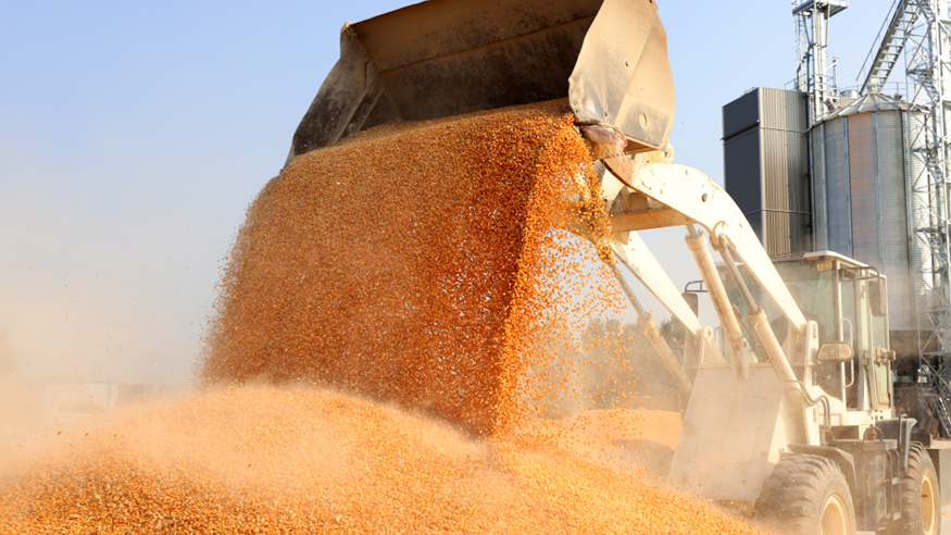 端穩“中國飯碗” 我國糧食產(chǎn)后節約減損有力推進(jìn)