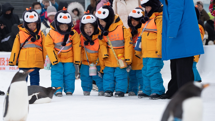 開(kāi)年旺！這樣熱氣騰騰的生活真帶勁