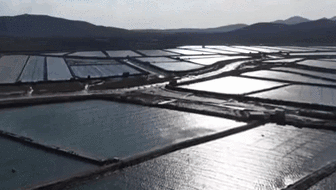 寒潮來(lái)襲·山東：降溫影響水產(chǎn)養殖 沿海各地積極應對