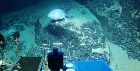 創(chuàng  )新源動(dòng)力：我國深?？瓶歼M(jìn)入萬(wàn)米時(shí)代