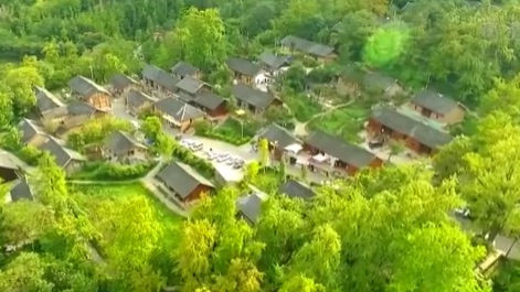 貴州盤(pán)州：“世界古銀杏之鄉”猶如童話(huà)世界