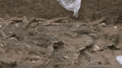 三星堆新發(fā)現：三星堆考古發(fā)掘進(jìn)程過(guò)半 再獲新發(fā)現